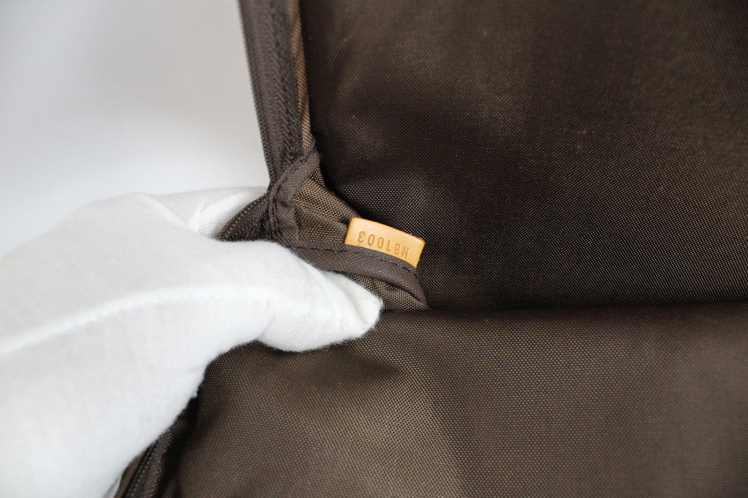 Louis Vuitton Pegasé 45