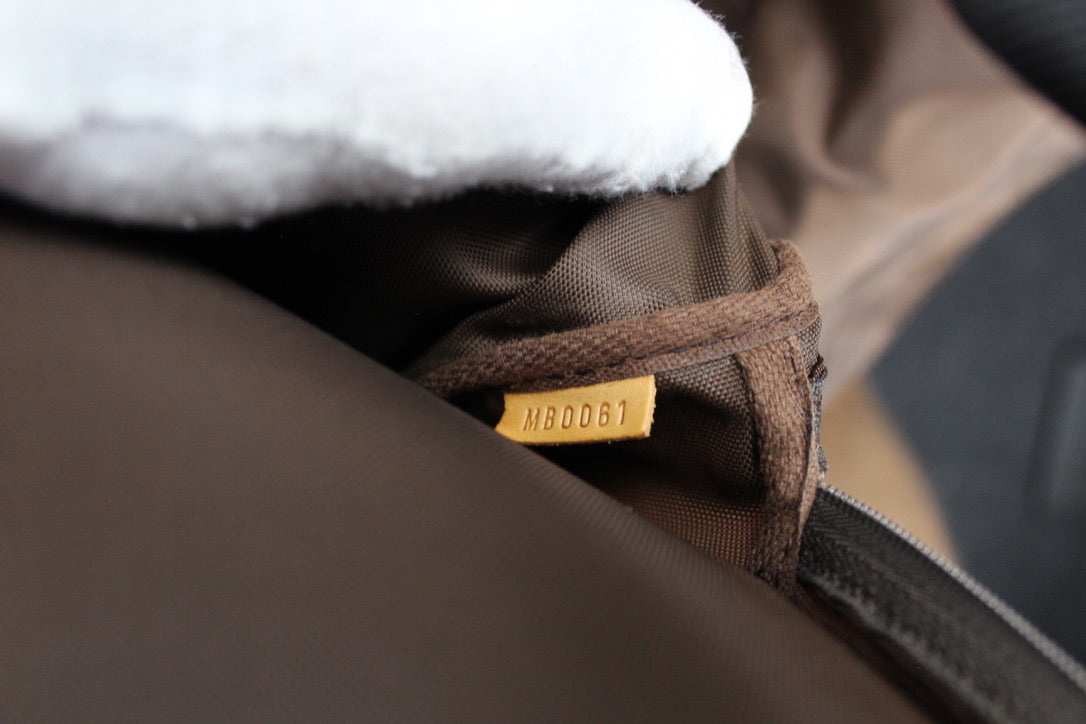 Louis Vuitton Pegase 45