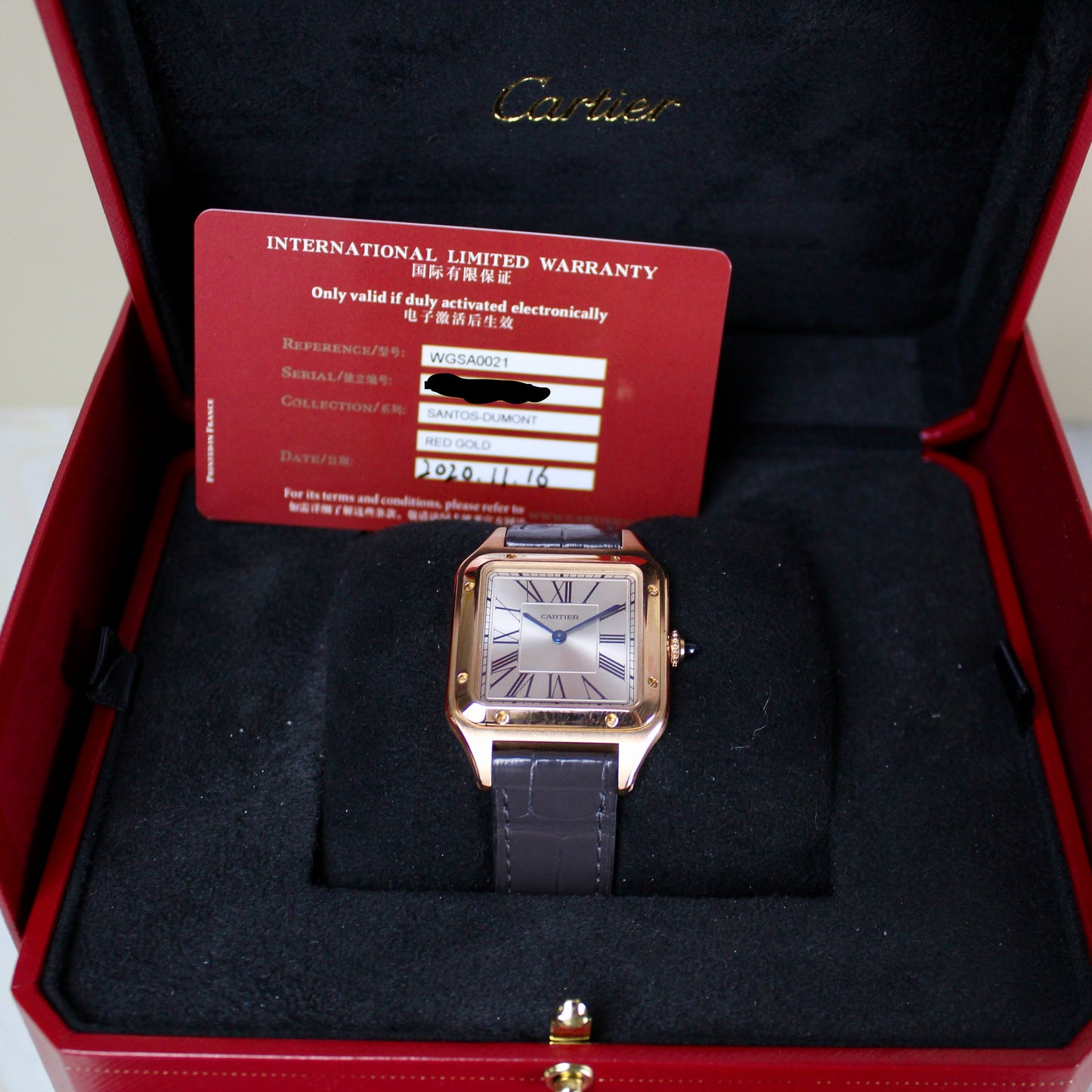 Cartier Santos-Dumont Large WGSA0021