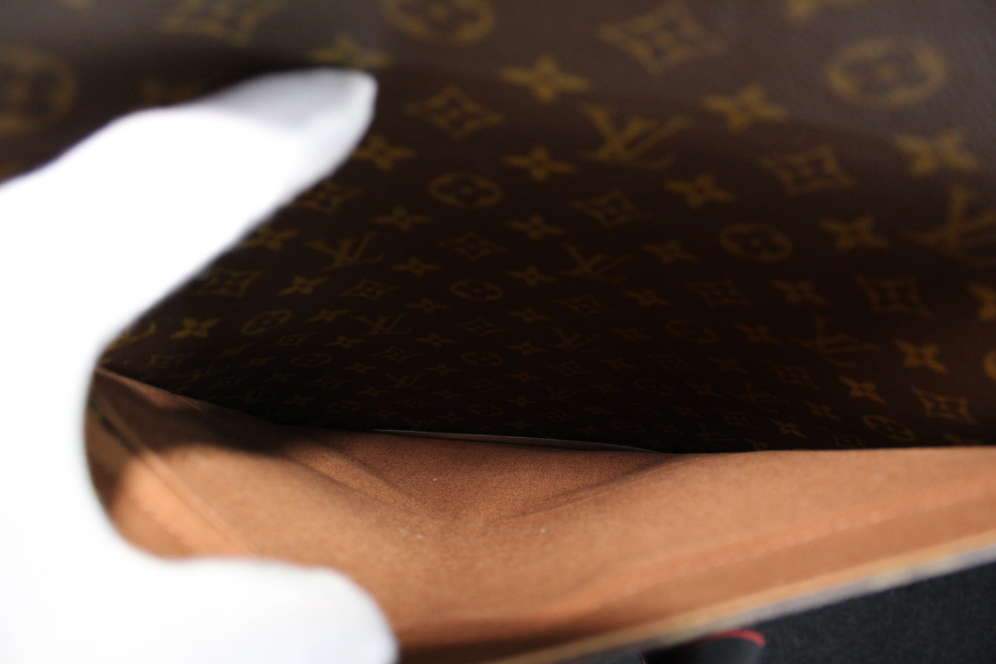 Louis Vuitton Pegase 55