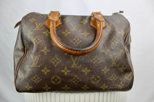 Louis Vuitton Speedy 25