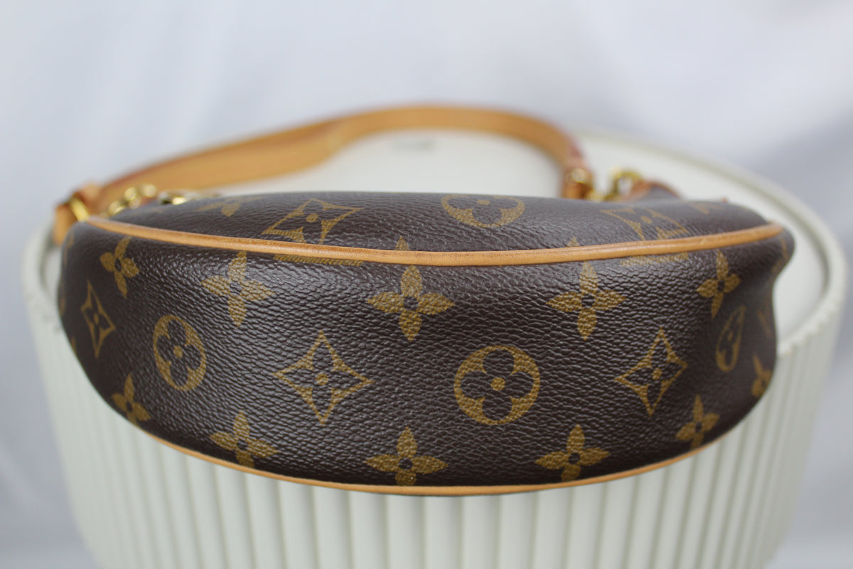 Louis Vuitton Loop
