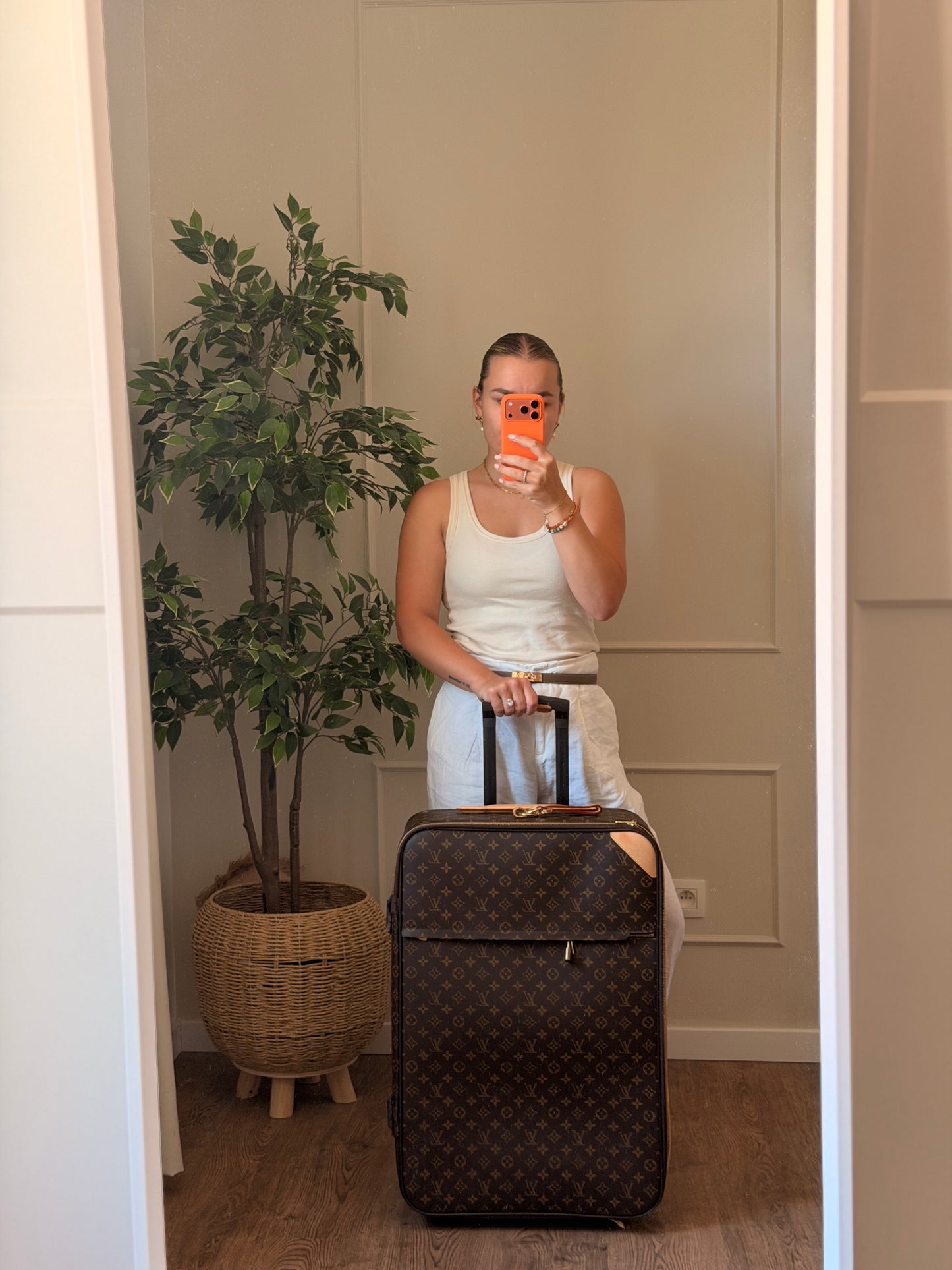 Louis Vuitton Pegase 65