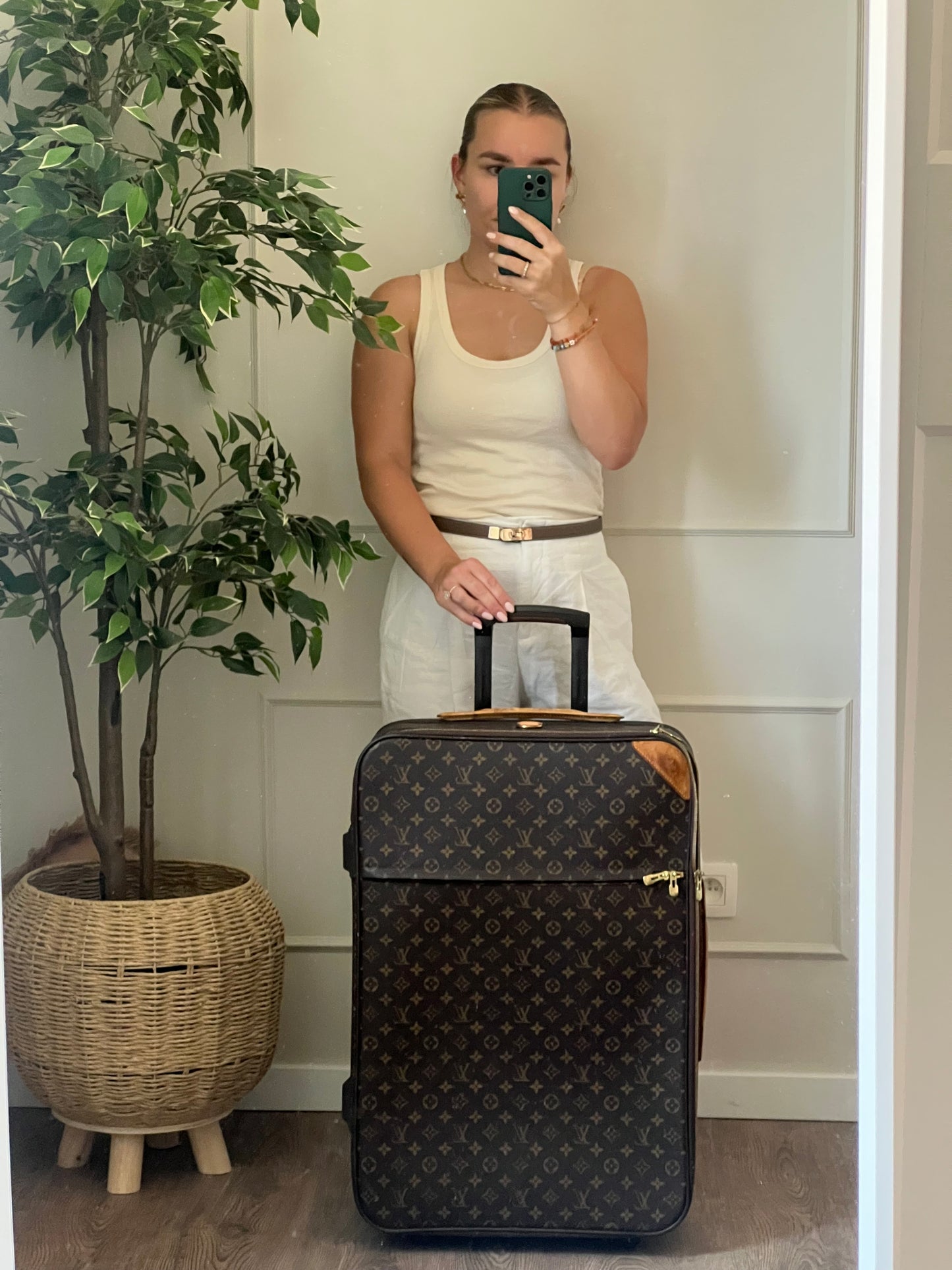 Louis Vuitton Pegase 65