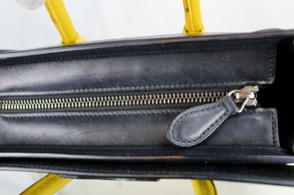 Celine Nano Luggage