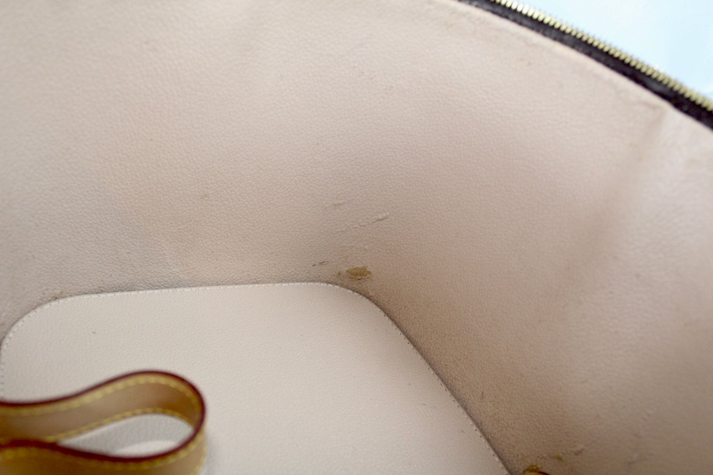 Louis Vuitton Nice Vanity Bag