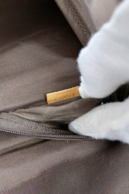 Louis Vuitton Pegase 65